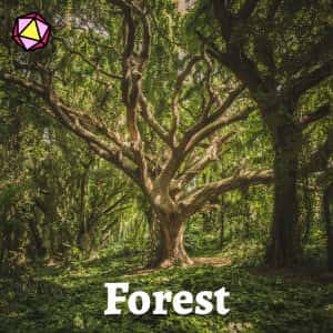 Spotify D&D Playlist Forest
